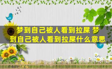 梦到自己被人看到拉屎 梦到自己被人看到拉屎什么意思